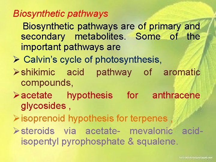 Biosynthetic pathways are of primary and secondary metabolites. Some of the important pathways are