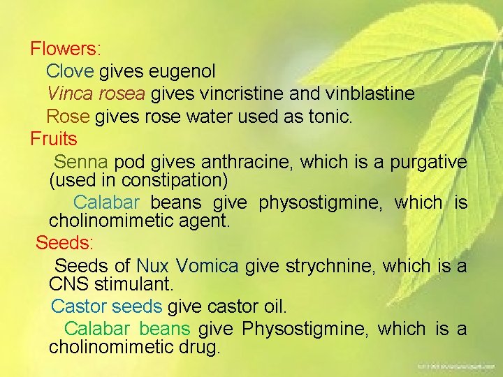 Flowers: Clove gives eugenol Vinca rosea gives vincristine and vinblastine Rose gives rose water