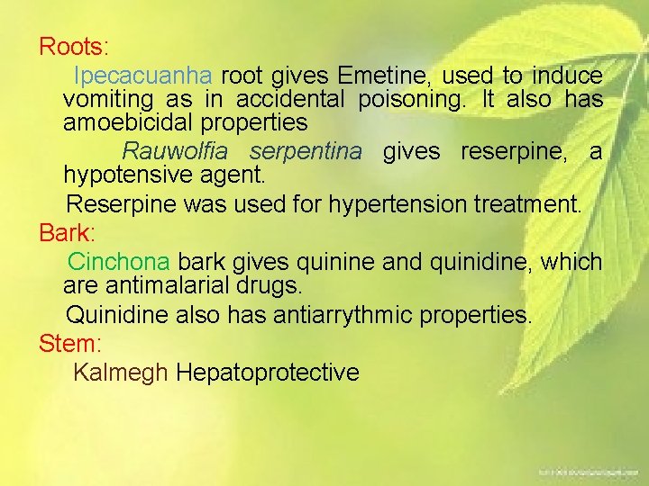 Roots: Ipecacuanha root gives Emetine, used to induce vomiting as in accidental poisoning. It