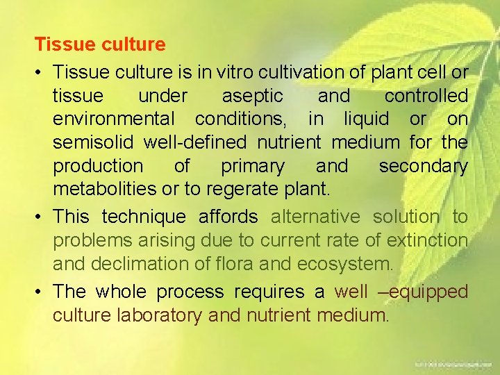 Tissue culture • Tissue culture is in vitro cultivation of plant cell or tissue