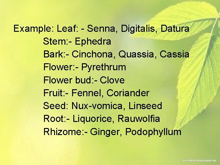 Example: Leaf: - Senna, Digitalis, Datura Stem: - Ephedra Bark: - Cinchona, Quassia, Cassia