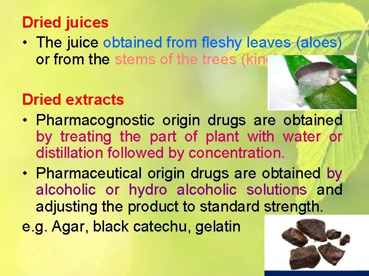 Dried juices • The juice obtained from fleshy leaves (aloes) or from the stems