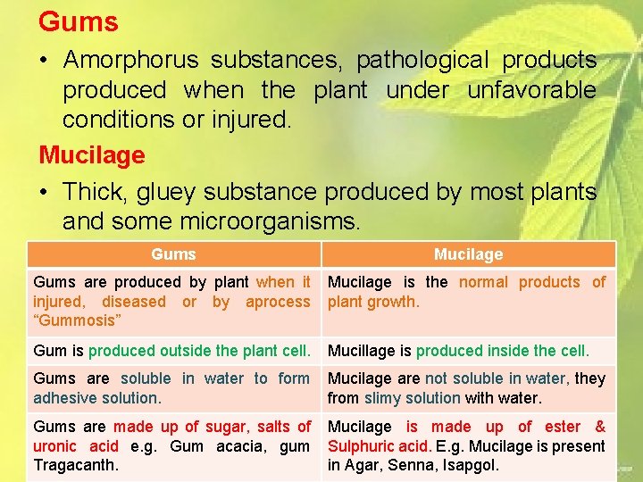 Gums • Amorphorus substances, pathological products produced when the plant under unfavorable conditions or