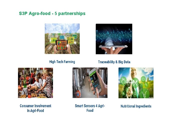 S 3 P Agro-food - 5 partnerships S 3 P Agro-food - 5 partnerships