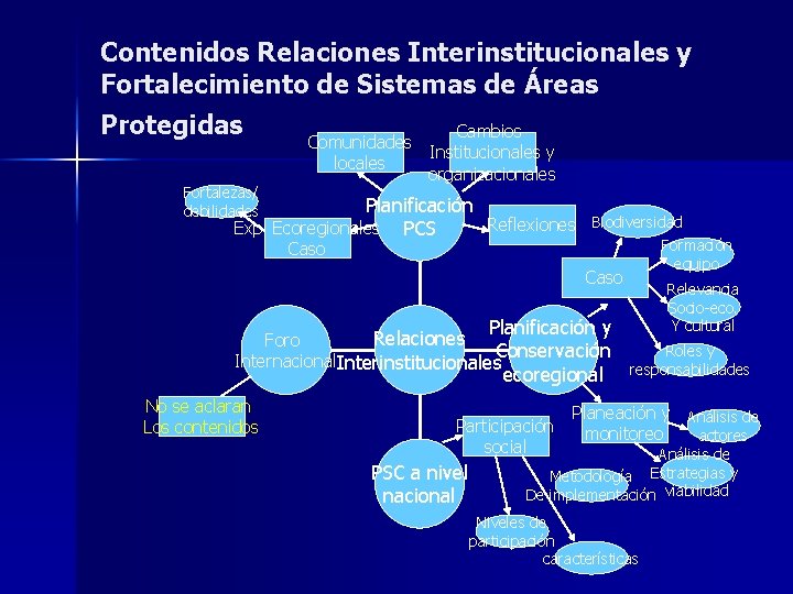 Contenidos Relaciones Interinstitucionales y Fortalecimiento de Sistemas de Áreas Protegidas Cambios Fortalezas/ debilidades Comunidades