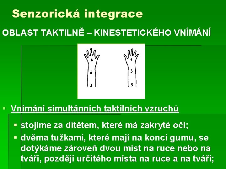 Senzorická integrace OBLAST TAKTILNĚ – KINESTETICKÉHO VNÍMÁNÍ § Vnímání simultánních taktilních vzruchů § stojíme