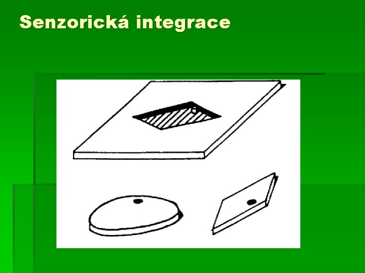 Senzorická integrace 