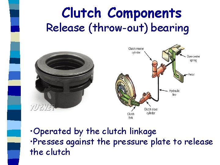 Clutch Components Release (throw-out) bearing • Operated by the clutch linkage • Presses against