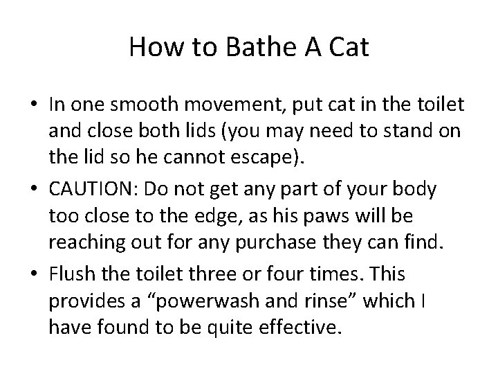 How to Bathe A Cat • In one smooth movement, put cat in the