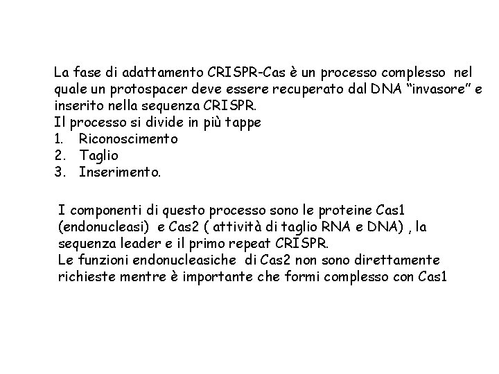 La fase di adattamento CRISPR-Cas è un processo complesso nel quale un protospacer deve