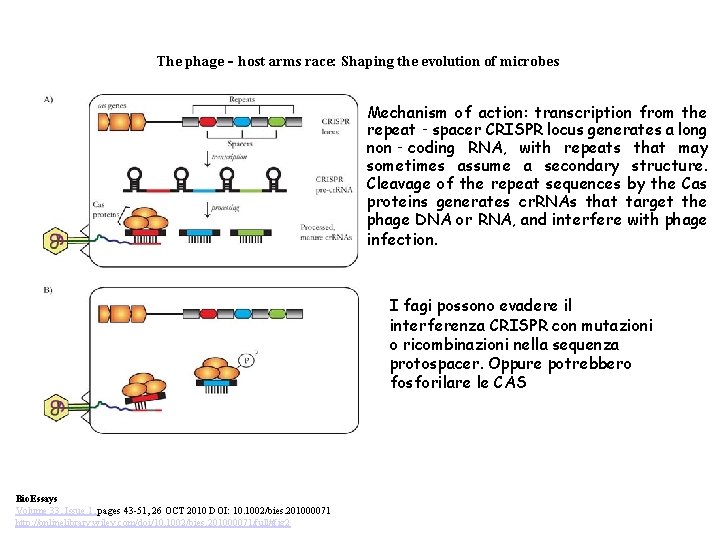 The phage‐host arms race: Shaping the evolution of microbes Mechanism of action: transcription from