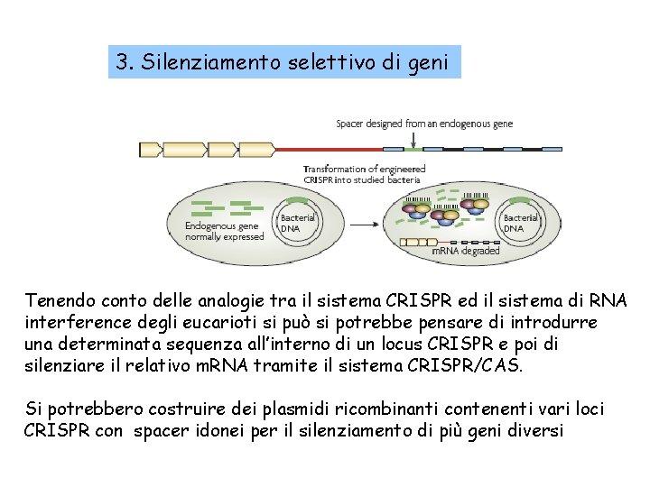 3. Silenziamento selettivo di geni Tenendo conto delle analogie tra il sistema CRISPR ed