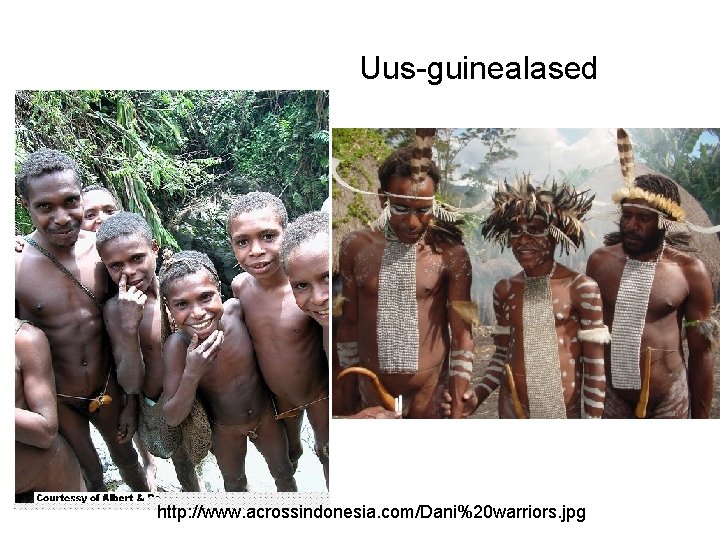 Uus-guinealased http: //www. acrossindonesia. com/Dani%20 warriors. jpg 