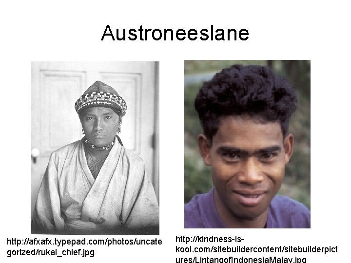 Austroneeslane http: //afxafx. typepad. com/photos/uncate gorized/rukai_chief. jpg http: //kindness-iskool. com/sitebuildercontent/sitebuilderpict ures/Lintangof. Indonesia. Malay. jpg