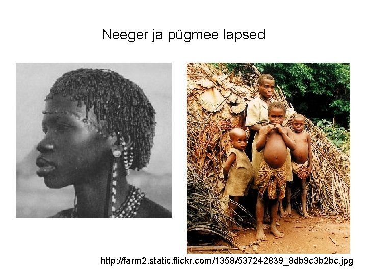 Neeger ja pügmee lapsed http: //farm 2. static. flickr. com/1358/537242839_8 db 9 c 3