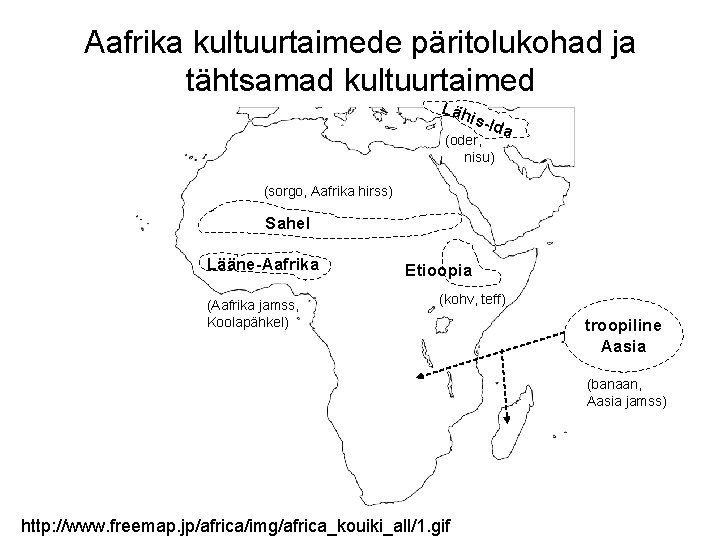 Aafrika kultuurtaimede päritolukohad ja tähtsamad kultuurtaimed Läh is-Id (oder, nisu) a (sorgo, Aafrika hirss)