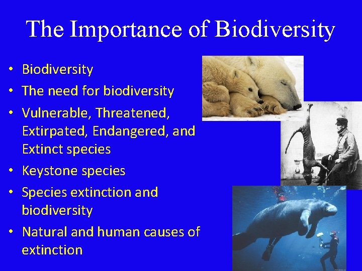 The Importance of Biodiversity • The need for biodiversity • Vulnerable, Threatened, Extirpated, Endangered,