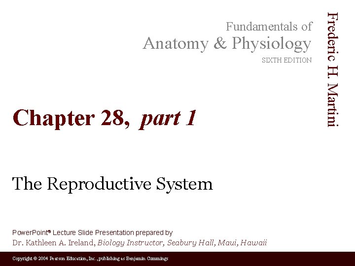 Anatomy & Physiology SIXTH EDITION Chapter 28, part 1 The Reproductive System Power. Point®