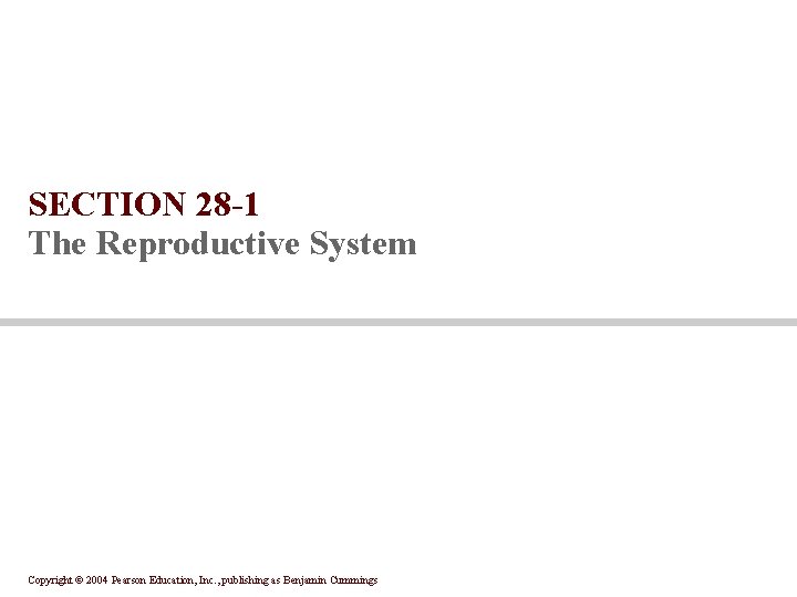 SECTION 28 -1 The Reproductive System Copyright © 2004 Pearson Education, Inc. , publishing
