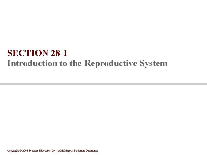 SECTION 28 -1 Introduction to the Reproductive System Copyright © 2004 Pearson Education, Inc.