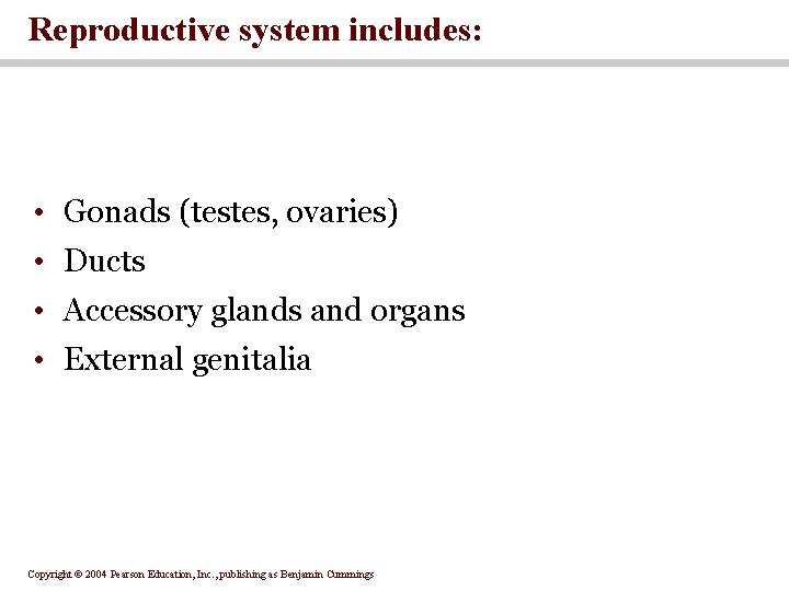 Reproductive system includes: • Gonads (testes, ovaries) • Ducts • Accessory glands and organs