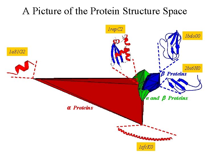 A Picture of the Protein Structure Space 1 rep. C 2 1 bdo 00