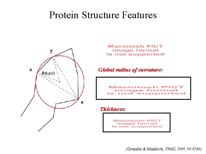 Protein Structure Features y x Global radius of curvature: R(x, y, z) z Thickness: