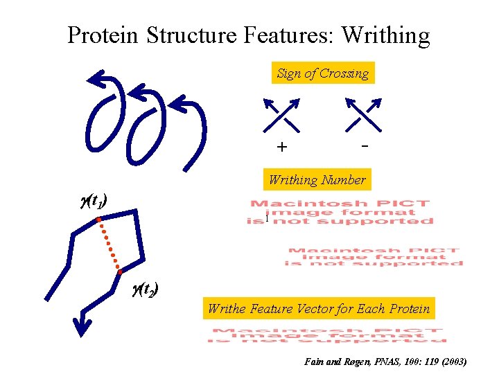 Protein Structure Features: Writhing Sign of Crossing + - Writhing Number g(t 1) 1