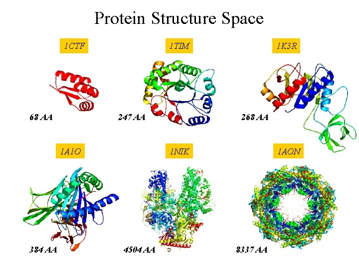 Protein Structure Space 1 CTF 68 AA 1 TIM 247 AA 1 A 1