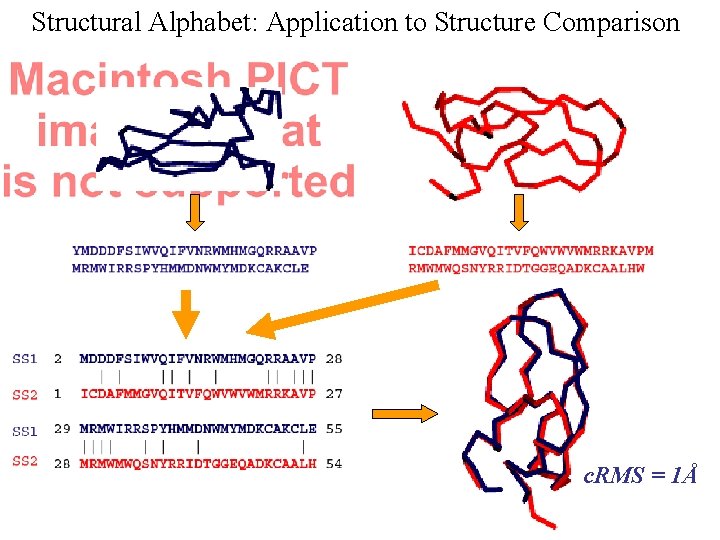 Structural Alphabet: Application to Structure Comparison c. RMS = 1Å 
