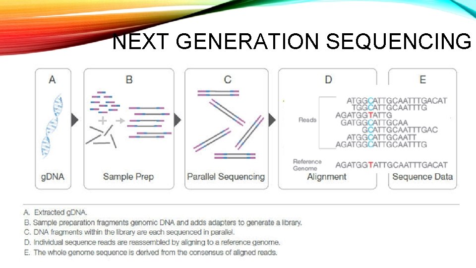 EMERGING MEDICAL TECHNOLOGIES NEXT GEN SEQUENCING Cynthia N