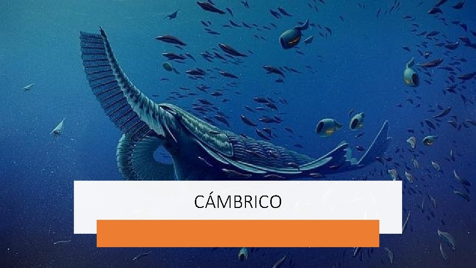 CÁMBRICO 