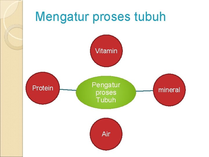 Mengatur proses tubuh Vitamin Protein Pengatur proses Tubuh Air mineral 