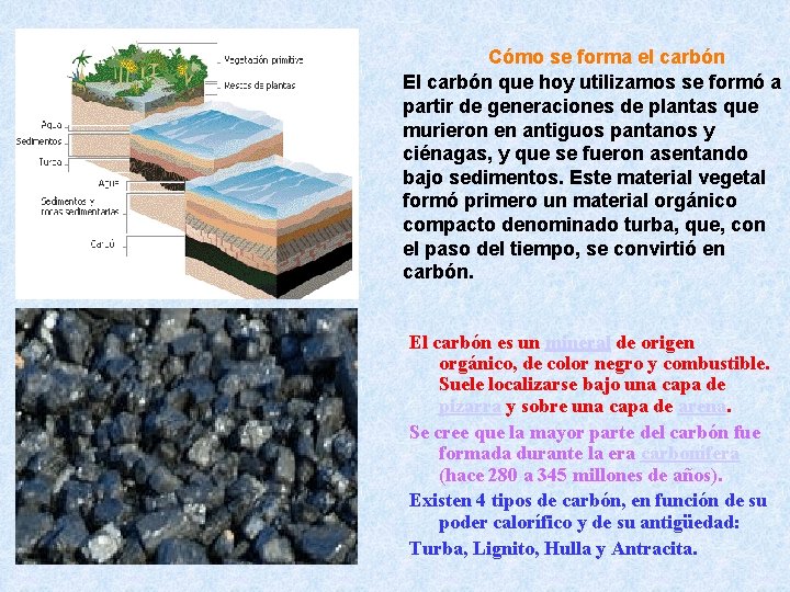  Cómo se forma el carbón El carbón que hoy utilizamos se formó a