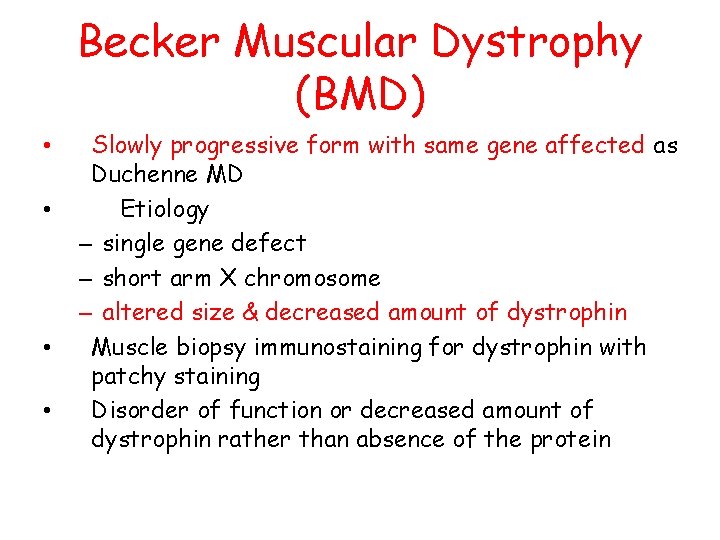 Becker Muscular Dystrophy (BMD) • • Slowly progressive form with same gene affected as