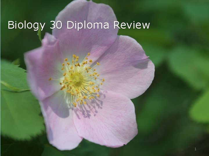 Biology 30 Diploma Review 1 