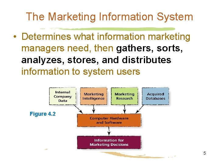 The Marketing Information System • Determines what information marketing managers need, then gathers, sorts,