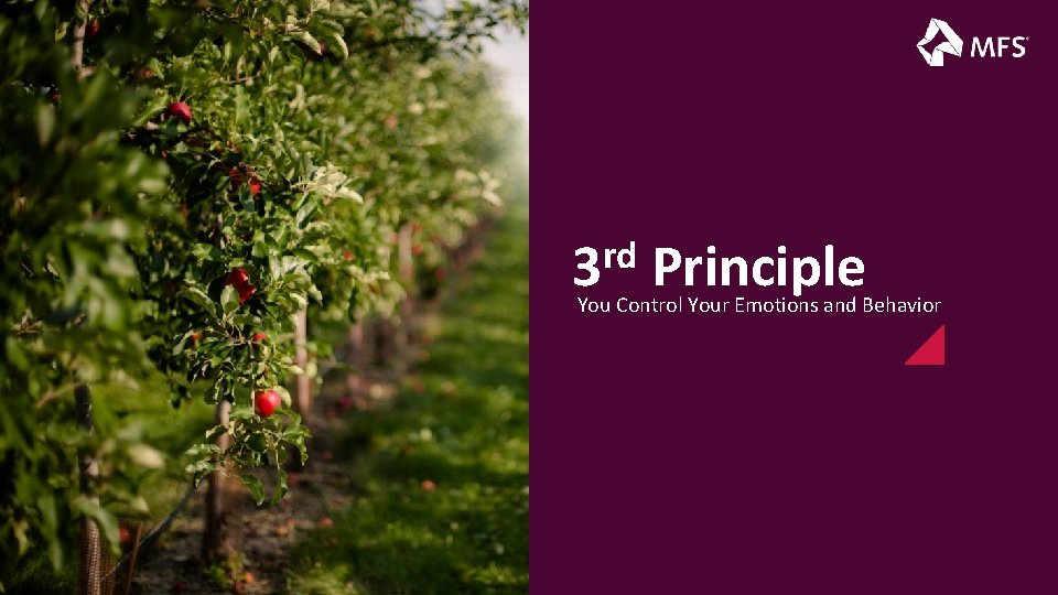 rd 3 Principle You Control Your Emotions and Behavior 