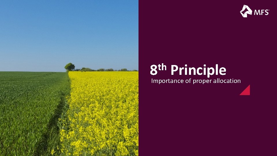 th 8 Principle Importance of proper allocation 