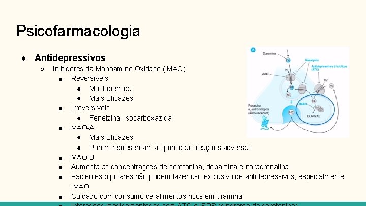 Psicofarmacologia ● Antidepressivos ○ Inibidores da Monoamino Oxidase (IMAO) ■ Reversíveis ● Moclobemida ●