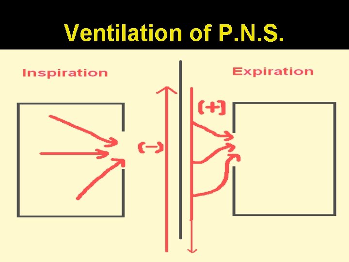 Ventilation of P. N. S. 
