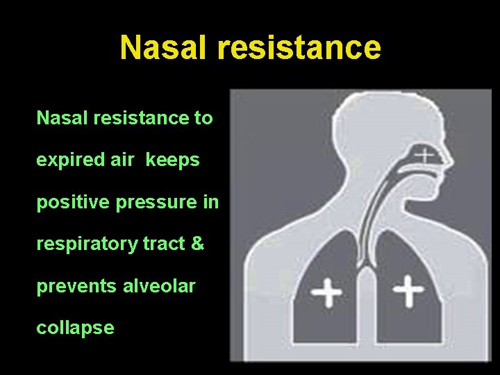 Nasal resistance to expired air keeps positive pressure in respiratory tract & prevents alveolar