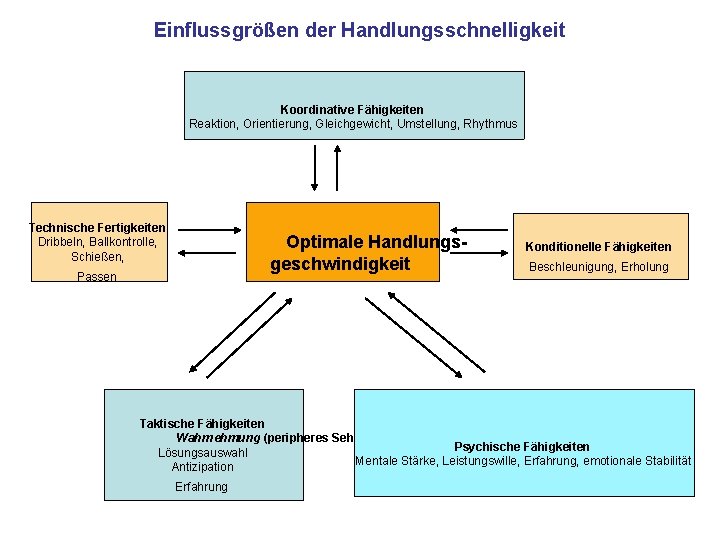 Einflussgrößen der Handlungsschnelligkeit Koordinative Fähigkeiten Reaktion, Orientierung, Gleichgewicht, Umstellung, Rhythmus Technische Fertigkeiten Dribbeln, Ballkontrolle,