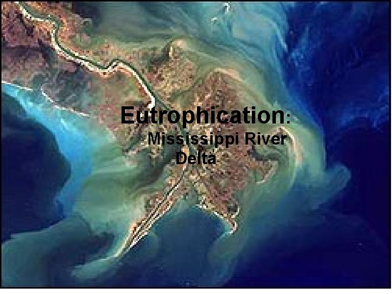  Eutrophication: Eutrophication Mississippi River Delta Nutrient pollution in the Mississippi River Delta 