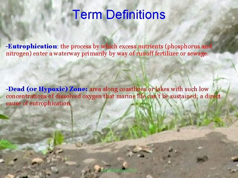 Term Definitions -Eutrophication: the process by which excess nutrients (phosphorus and nitrogen) enter a
