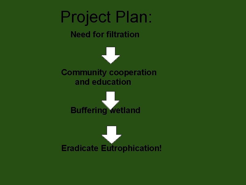  Project Plan: Need for filtration Community cooperation and education Buffering wetland Eradicate Eutrophication!