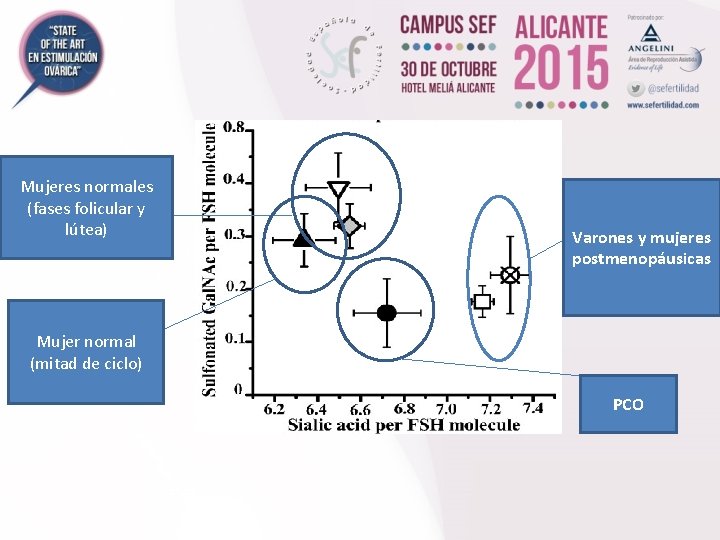 Mujeres normales (fases folicular y lútea) Varones y mujeres postmenopáusicas Mujer normal (mitad de