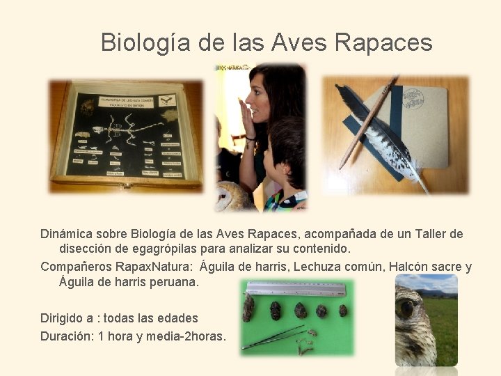 Biología de las Aves Rapaces Dinámica sobre Biología de las Aves Rapaces, acompañada de