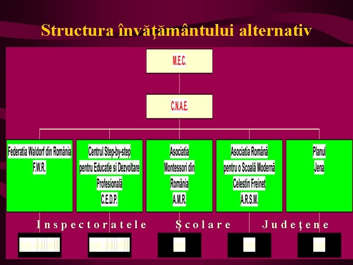 Structura învăţământului alternativ Inspectoratele Şcolare Judeţene 