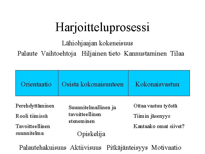 Harjoitteluprosessi Lähiohjaajan kokeneisuus Palaute Vaihtoehtoja Hiljainen tieto Kannustaminen Tilaa Orientaatio Osista kokonaisuuteen Perehdyttäminen Suunnitelmallinen
